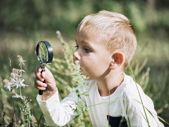 Hereditary tyrosinemia type 1 (HT-1)