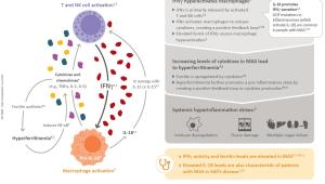 MAS Mechanism of Disease